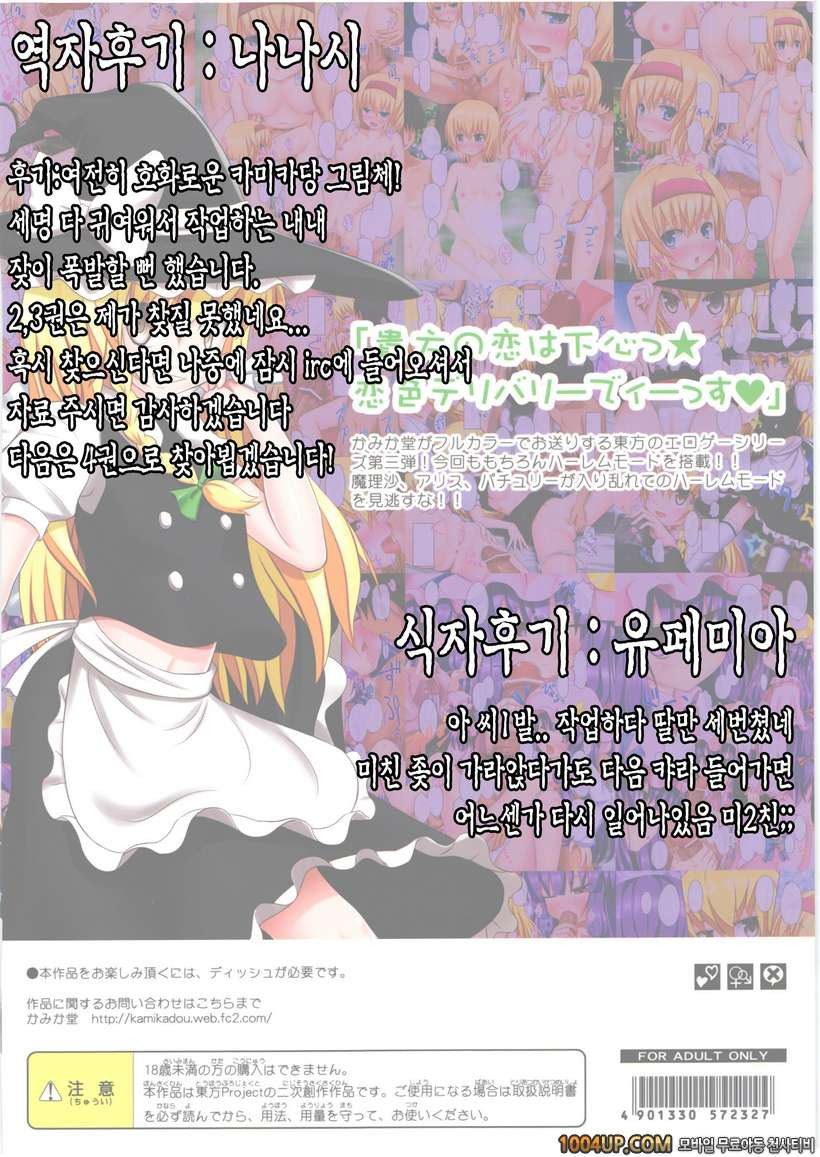 (번역)(C80)[かみか堂 (銀曜ハル)] 동방의 에로게3 (동방프로젝트)_by 망가 이미지 #19