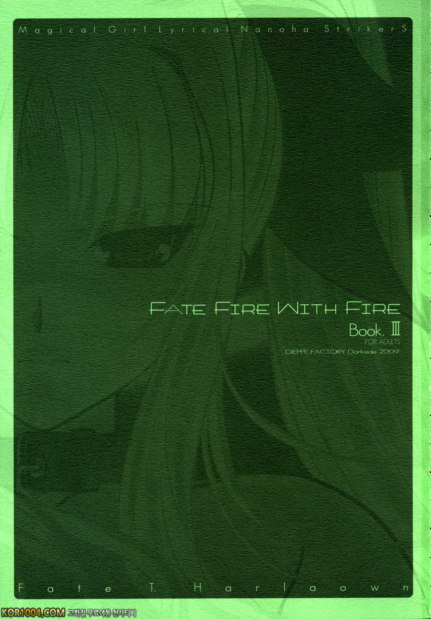 [ディエップ工房] FATE FIRE WITH FIRE 3 (마법소녀 리리컬 나노하) (C76) [번역]_by 망가 이미지 #4