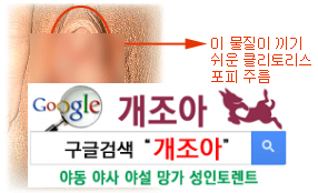 클리토리스 애무 완전정복 1탄              이미지 #4